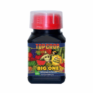 Fertilizante Big One Top Crop 250ml