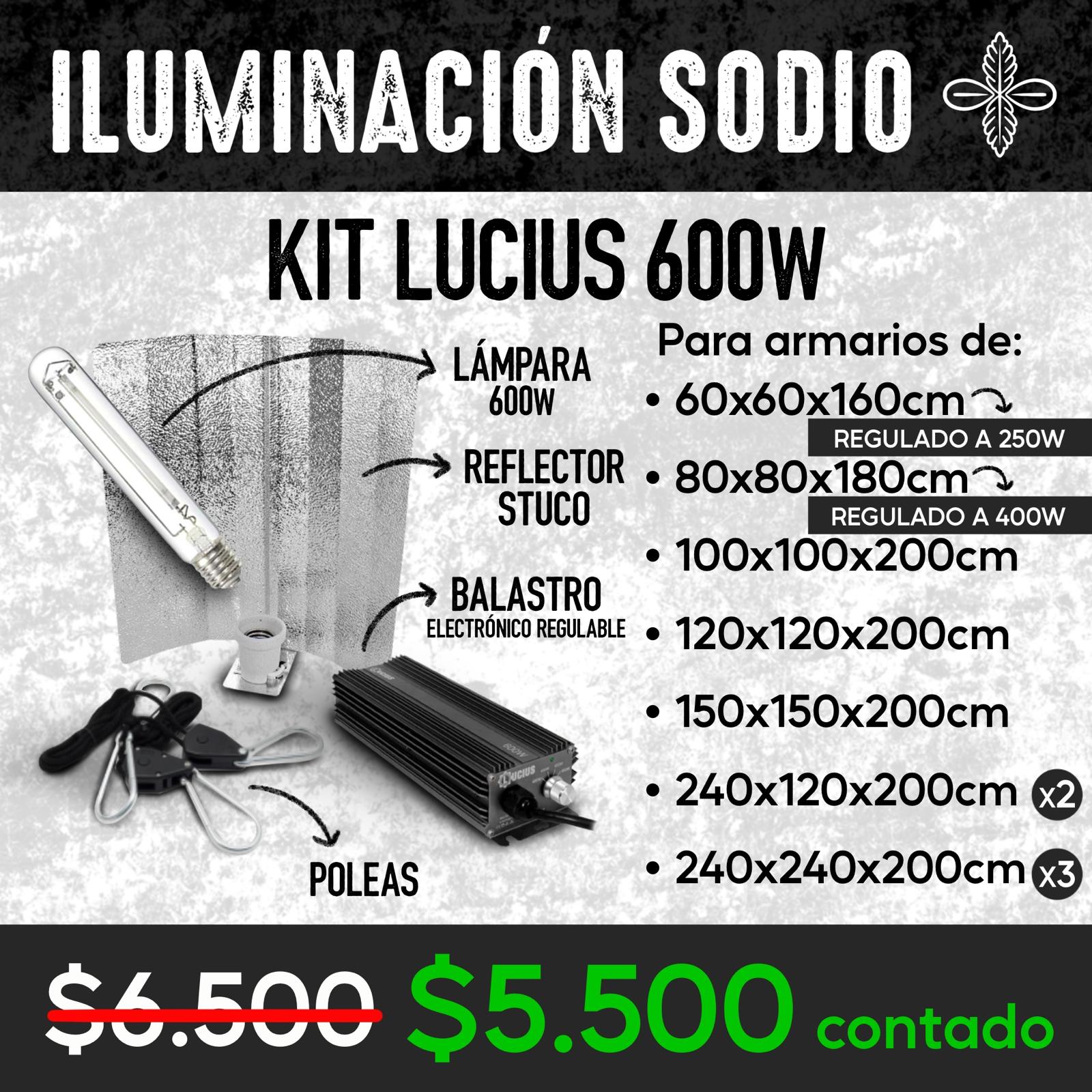 bfc49136-c434-4e1e-8373-80422e628a2b